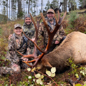 roosevelt elk hunting british columbia