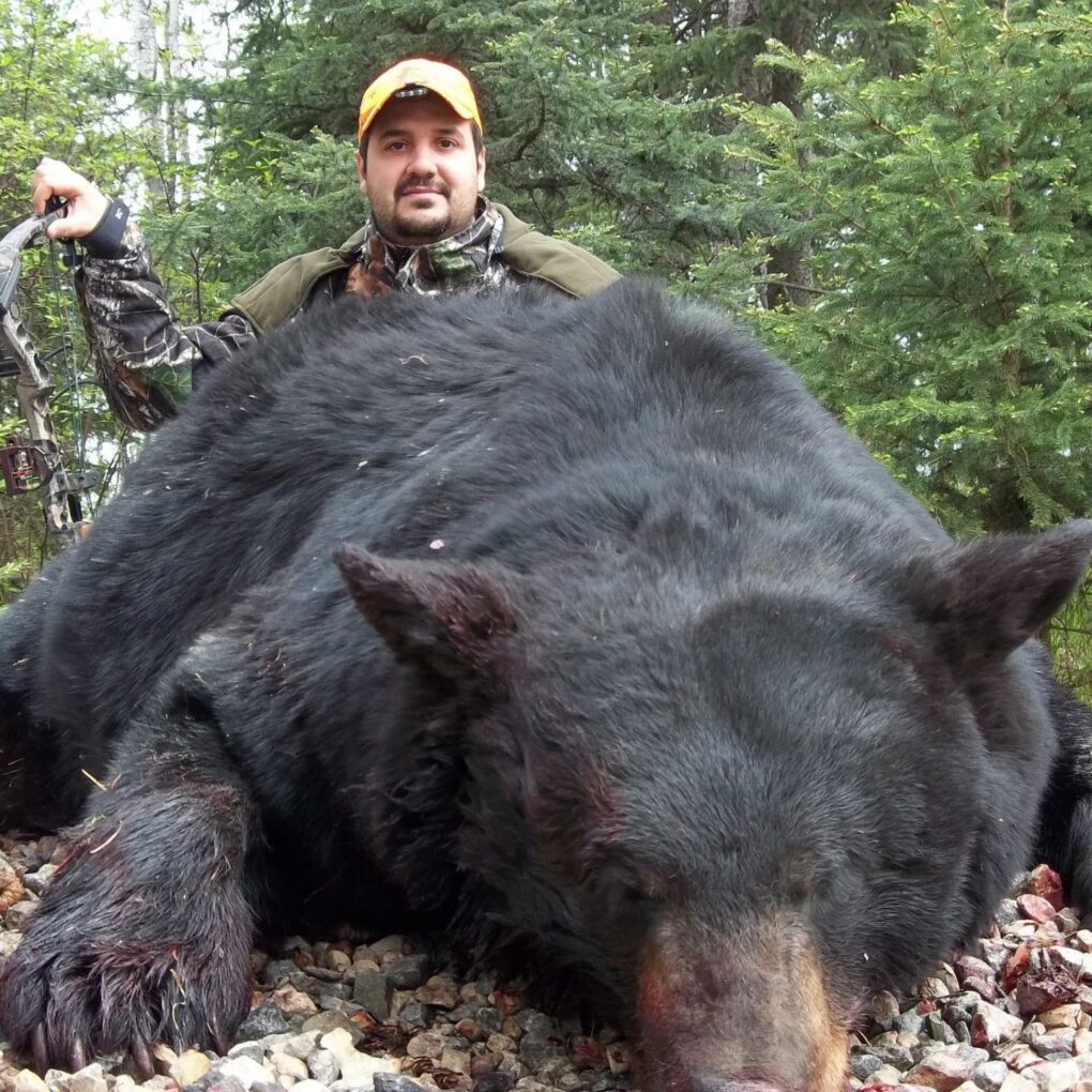 Saskatchewan Black Bear LLO2 » Outdoors International Trophy Saskatchewan bear hunts
