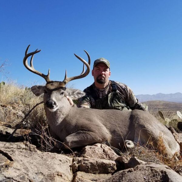 The Best Mule Deer Hunts in Mexico » Outdoors International