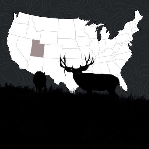 Utah Mule Deer Hunting Voucher