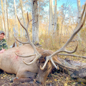Utah elk hunting lodge
