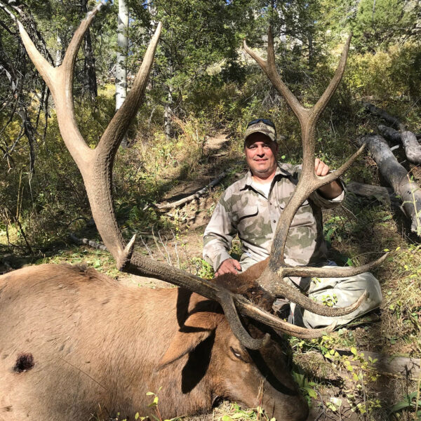 Utah elk hunting