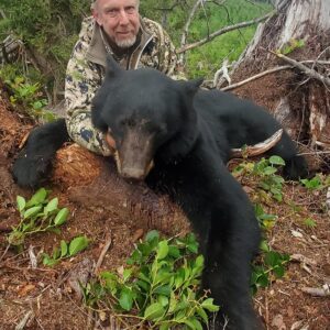 Washington has the highest bear population in the lower 48, and these Washington bear hunts on the Olympic Peninsula give our hunters a great chance at a trophy coastal black bear.
