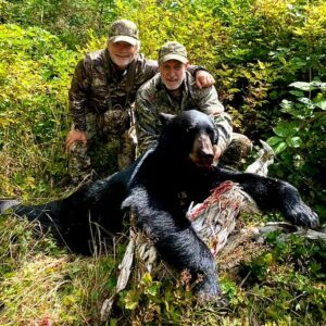 You can expect prime-pelted bears, and mature boars are the norm.