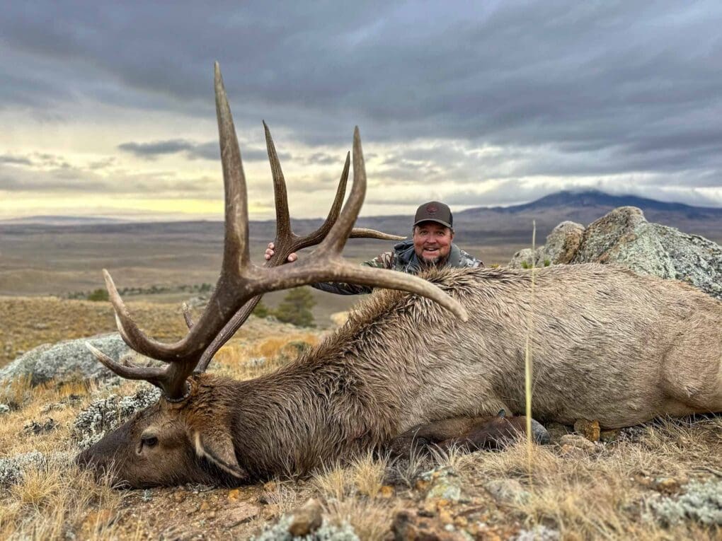 Trophy elk hunts in Wyoming