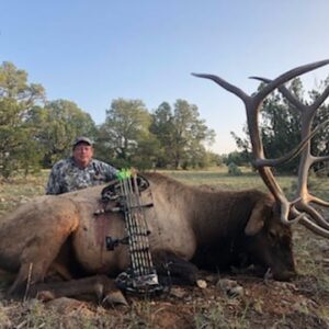 archery-elk-hunts-in-new-mexico-K9CO3-2.jpg » Outdoors International A giant archery bull