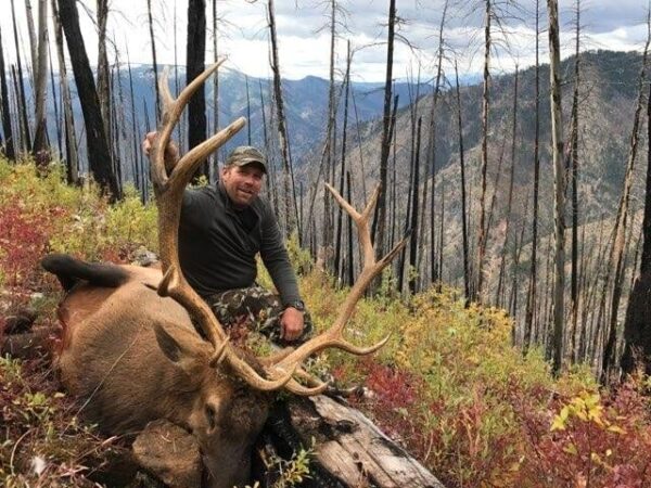 Idaho Wilderness Horseback Elk and Mule Deer Hunts