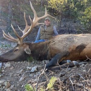 New Mexico has some spectacular elk hunting.
