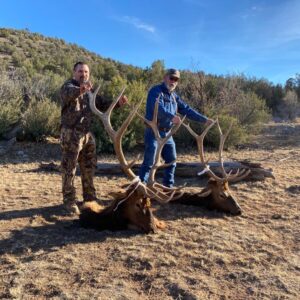 We would love to help you book a great elk hunt in New Mexico. We work with some great outfitters in the best units.