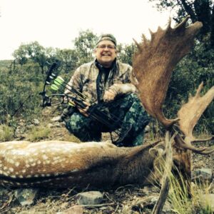 Fallow deer hunt in Spain