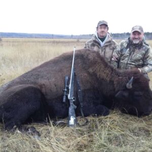 Alberta Bison Hunt