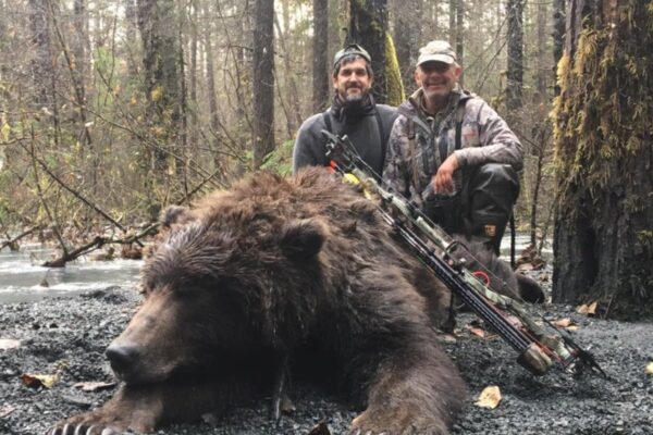 Archery southeast alaska brown bear hunt
