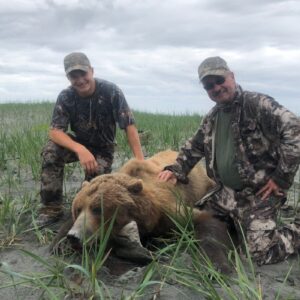 Southeast alaska brown bear hunts
