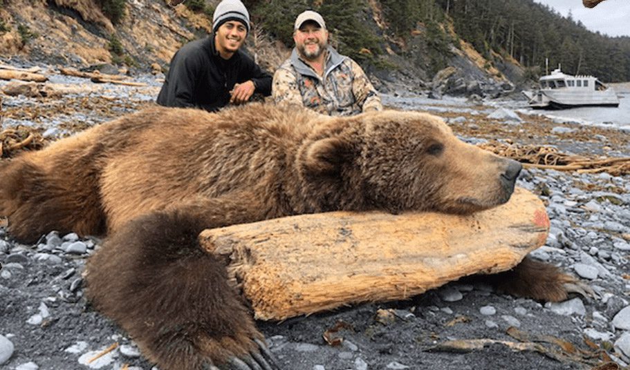 afognak island brown bear hunting