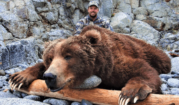 afognak island brown bear hunting