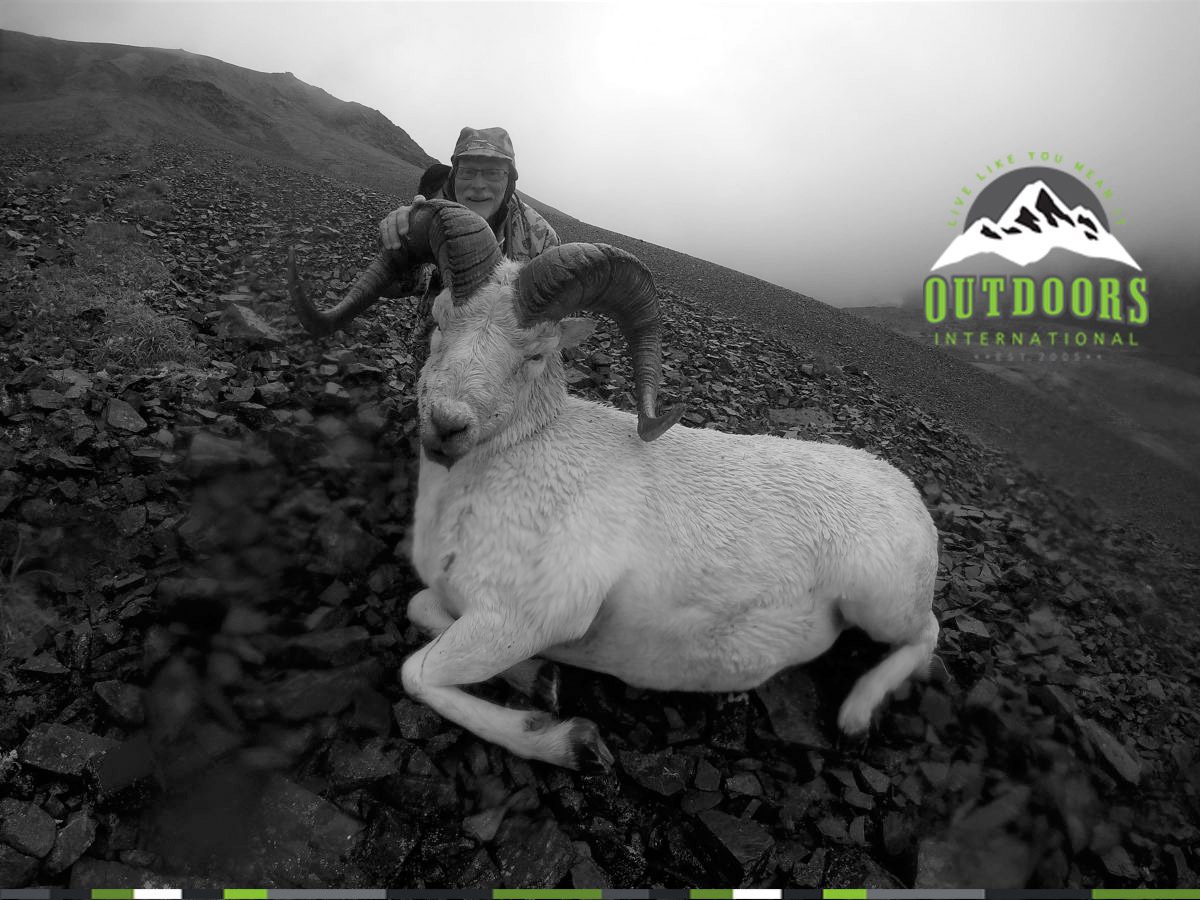 Alaska Dall Sheep, Brown Bear Combo Hunt Report by Ray Rupel BFAD