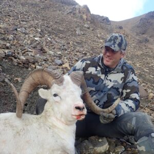 Alaska dall sheep hunt