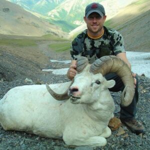 Alaska Dall Sheep Hunts