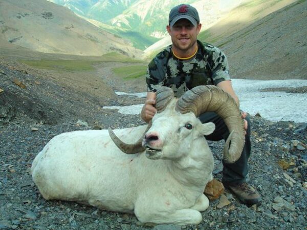 Alaska Dall Sheep Hunts
