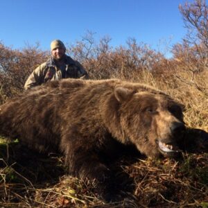 Kodiak Brown Bear Hunts in Alaska