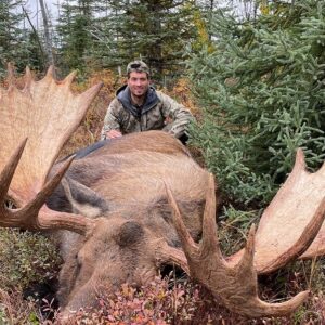 alaska moose and grizzly hunt