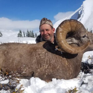 Bighorn sheep applications