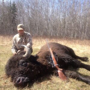 Alberta Bison Hunting