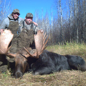 alberta canada moose hunts