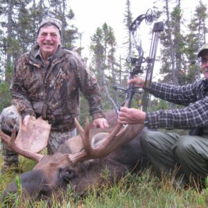 newfoundland moose hunt
