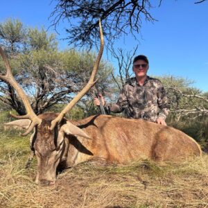 Free range stag hunting in Argentina