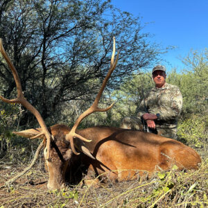 Argentina red stag hunting with SCI's 2023 International Outfitter of the Year