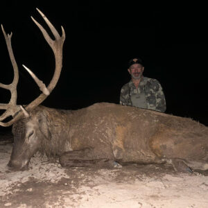 Mud covered Argentina stag