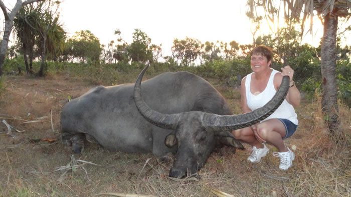 australia water buffalo hunt