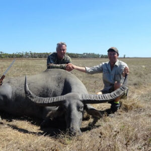 We'll help you with the process of preparing for a guided hunt in australia for water buffalo.