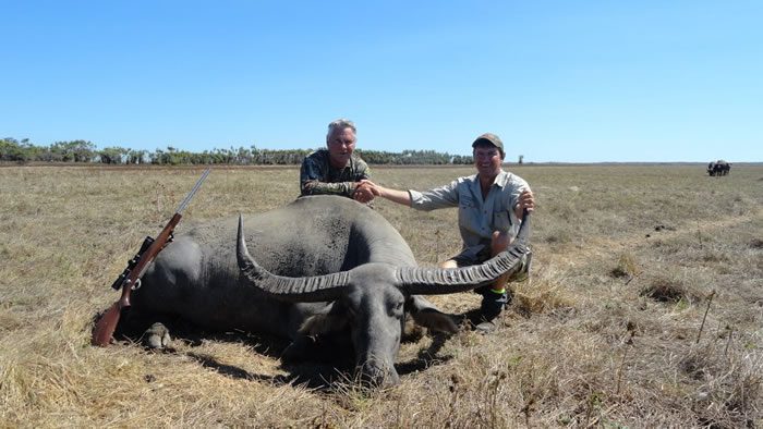We'll help you with the process of preparing for a guided hunt in australia for water buffalo.