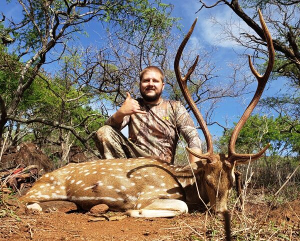 Axis Deer Hunting in Hawaii