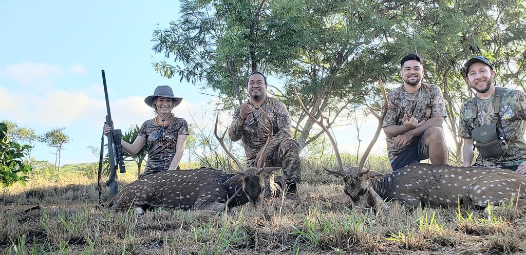 molokai axis deer hunts