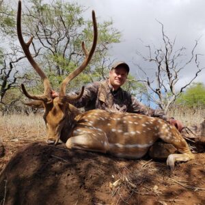 Axis Deer Hunting in Hawaii