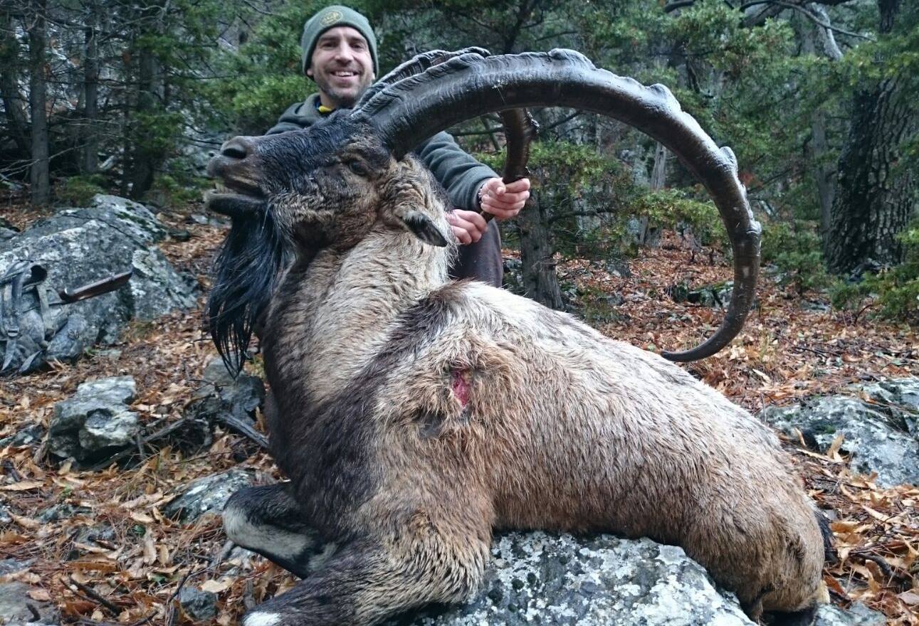 Bezoar Ibex Hunting in Turkey