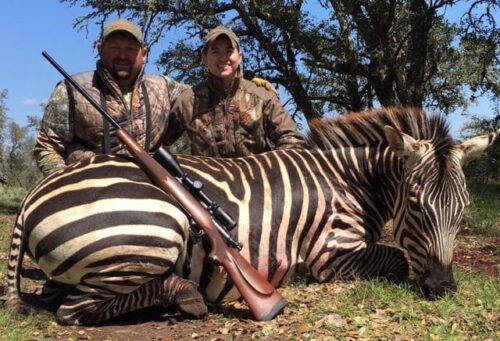 Zebra hunting in Texas