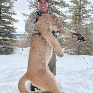 Colorado mountain lion hunt