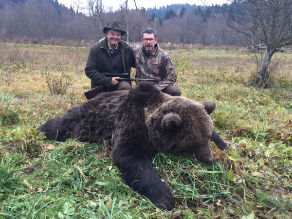 Eurasian Brown Bear Hunts in Croatia