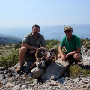 Croatia Mouflon sheep hunt
