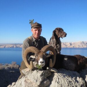Hunting Mouflon sheep in Croatia