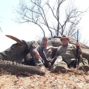 south africa elephant hunting