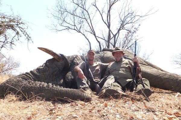 south africa elephant hunting