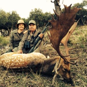fallow deer hunt