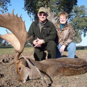 fallow deer hunt