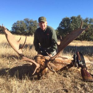 fallow deer hunt