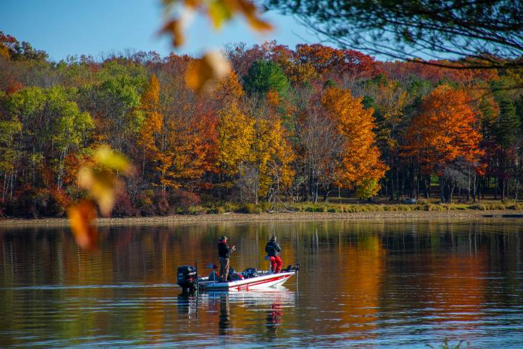 Fishing in Illinois